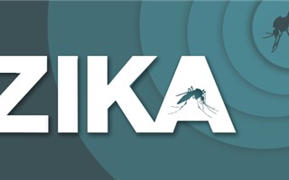 TP Hồ Chí Minh: 1 quận có tới 7 trường hợp mắc virus Zika