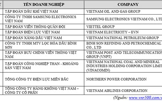 Danh sách Top 10 doanh nghiệp lớn nhất Việt Nam 2016