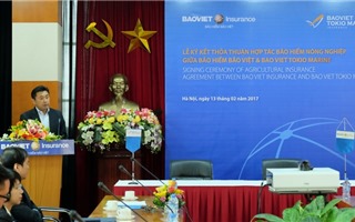 Bảo hiểm Bảo Việt cùng BAOVIET TOKIO MARINE ký kết hợp tác bảo hiểm Nông nghiệp