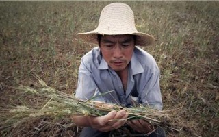 Từ câu chuyện anh nông dân xem đất đến đạo lý phong thủy của Lưu Bị