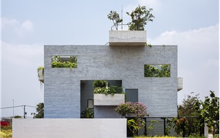Nhà cho cây Binh House giành danh hiệu “Xây dựng Xanh của Năm 2017”