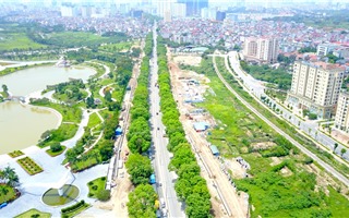 Hà Nội: Cận cảnh đường Phạm Văn Đồng trước giờ chặt hạ hơn 1.000 cây xanh