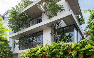 Khám phá căn nhà "cây mọc xuyên tường" ở Sài Gòn của KTS Võ Trọng Nghĩa