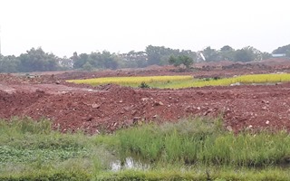 Dự án Khu đô thị Kosy Bắc Giang: “Vượt rào” rao bán cả đất ruộng?