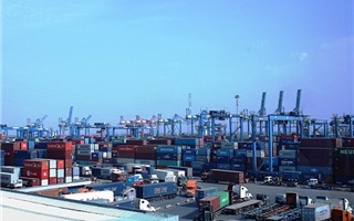 Điều chỉnh mức thu phí cảng biển ở TP.HCM trong tháng 7