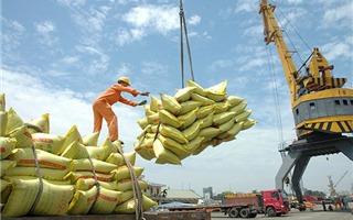 Xuất khẩu gạo sang Mỹ tăng vọt