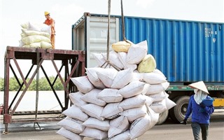 Gạo thơm Việt Nam sẽ là từ khoá “đắt giá” cho ngành xuất khẩu 2021
