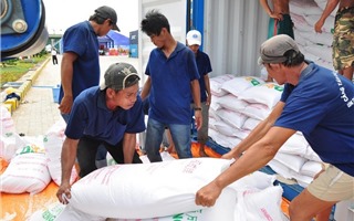 Hà Nội gửi tặng TP.HCM và tỉnh Bình Dương 6.000 tấn gạo