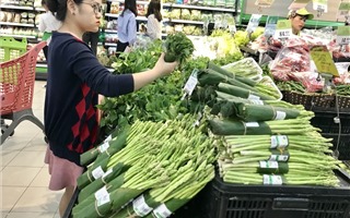 Hà Nội: Phấn đấu 100% siêu thị, trung tâm thương mại không sử dụng túi nilon khó phân hủy