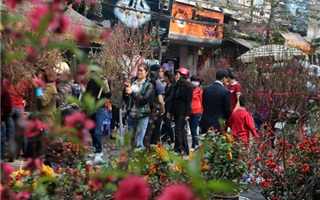 Hà Nội tổ chức 89 điểm chợ hoa xuân phục vụ Tết Tân Sửu 2021