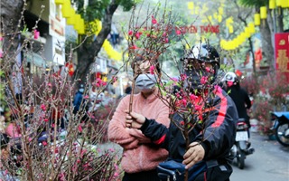 Hà Nội tổ chức 78 điểm chợ hoa Xuân dịp Tết 2022