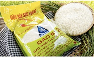 Giá gạo xuất khẩu của Việt Nam tăng mạnh