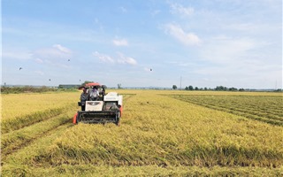 BR-VT: Cơ giới hóa nông nghiệp và ứng dụng công nghệ sau thu hoạch