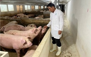 Hà Nội: Chăn nuôi sạch, bảo đảm sức khỏe người tiêu dùng