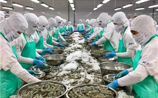 Thêm 23 doanh nghiệp thủy sản được phép xuất khẩu vào Trung Quốc