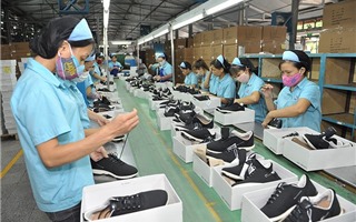 Ngành da giày Việt cần chủ động nguồn nguyên liệu trong sản xuất