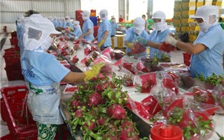 Việt Nam đặt mục tiêu xuất khẩu 55 tỷ USD nông sản