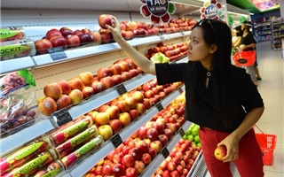 Hà Nội: Cửa hàng kinh doanh trái cây sẽ có biển nhận diện an toàn