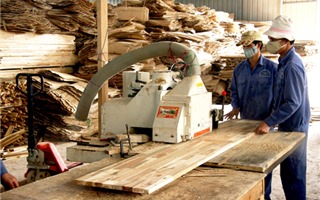 Yên Bái: Giá trị sản xuất công nghiệp 11 tháng tăng 9,4%