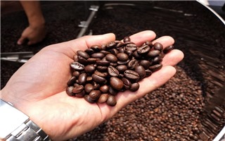 Năm 2022, Việt Nam đứng thứ 2 thế giới về xuất khẩu cà phê