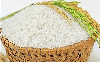 Kim ngạch xuất khẩu gạo tăng 34%