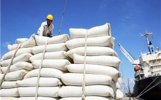 Xuất khẩu gạo sang EU trong 4 tháng đầu năm 2022 đạt trên 30.000 tấn nhờ EVFTA