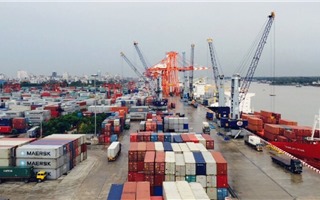 Xuất khẩu sang Hà Lan tăng hơn 1,4 tỷ USD