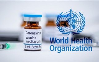 WHO kêu gọi chia sẻ vaccine cho các nước nghèo