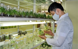 Nâng cao tiềm lực công nghiệp sinh học ngành nông nghiệp