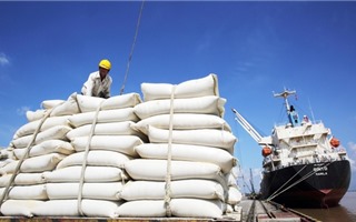 Xuất khẩu gạo 4 tháng đầu năm thu về hơn 1 tỷ USD