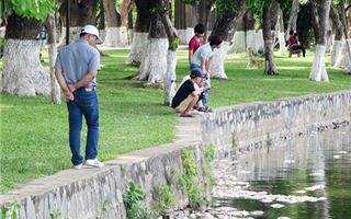 Đà Nẵng duyệt gần 1.100 tỷ đồng đầu tư công viên, trung tâm hành chính