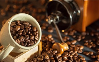 Giá cà phê hôm nay 5/10: Trong nước và thế giới đồng loạt giảm