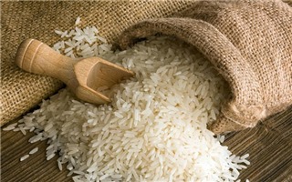 Giá gạo Việt Nam xuất khẩu tiếp tục tăng, phá đỉnh 10 năm
