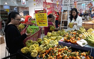 Triển vọng sáng cho thị trường bán lẻ Việt Nam trong năm 2020