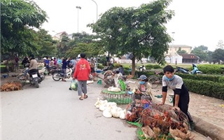 Ngoại thành Hà Nội: Nhiều người chủ quan, lơ là trong phòng dịch Covid-19