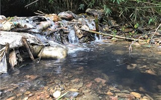 "Công ty nước sạch Sông Đà phải bồi thường thiệt hại hoàn toàn"