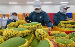 Thị trường xuất khẩu rau quả của Việt Nam đạt 2,82 tỷ USD trong 9 tháng