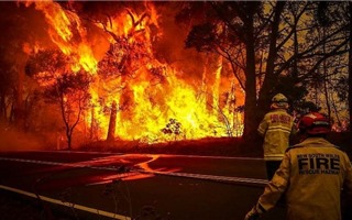 Những hình ảnh về thảm họa cháy rừng tại Australia
