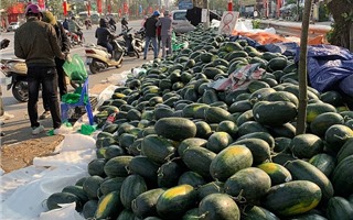 Bộ Công Thương khuyến cáo hạn chế đưa nông sản lên biên giới Trung Quốc