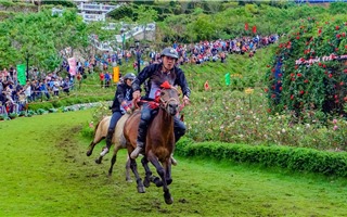 Sa Pa: Du khách phấn khích với giải đua “Vó ngựa trên mây”