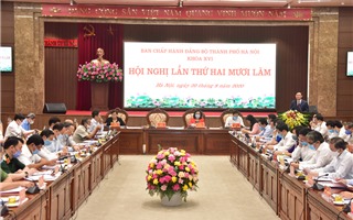 Thành ủy Hà Nội thảo luận, thông qua các dự thảo văn kiện báo cáo Bộ Chính trị