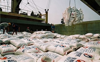 Gạo Việt Nam xuất khẩu ‘giảm lượng, tăng chất’