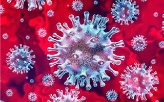 Thực hư thông tin WHO liên tục đổi tên virus gây dịch COVID-19