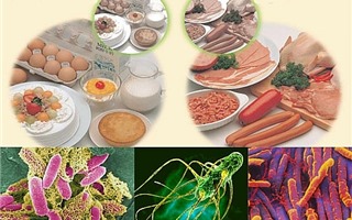 Nguyên nhân và cách xử lý khi bị ngộ độc thực phẩm