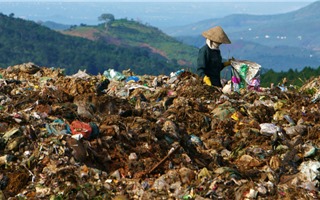 Xử lý rác thải bất cập có thể lan truyền vi khuẩn "ăn thịt người" Whitmore