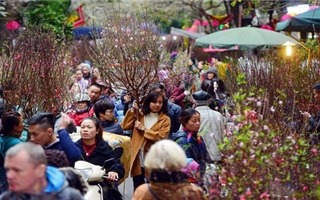 Hà Nội tổ chức 51 điểm chợ hoa Xuân phục vụ Tết Canh Tý