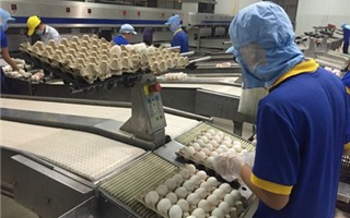 Hồng Kông dỡ bỏ lệnh cấm nhập khẩu thịt và trứng gia cầm từ Việt Nam