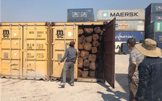 Phát hiện hàng chục container nghi gỗ giáng hương nhập lậu 