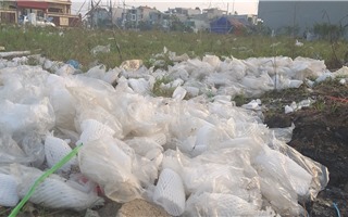 Thanh Hóa: Dân khốn khổ vì rác thải từ chợ tự phát "bủa vây"