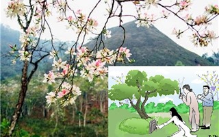 Những điều nên và không nên làm trong Tết thanh minh